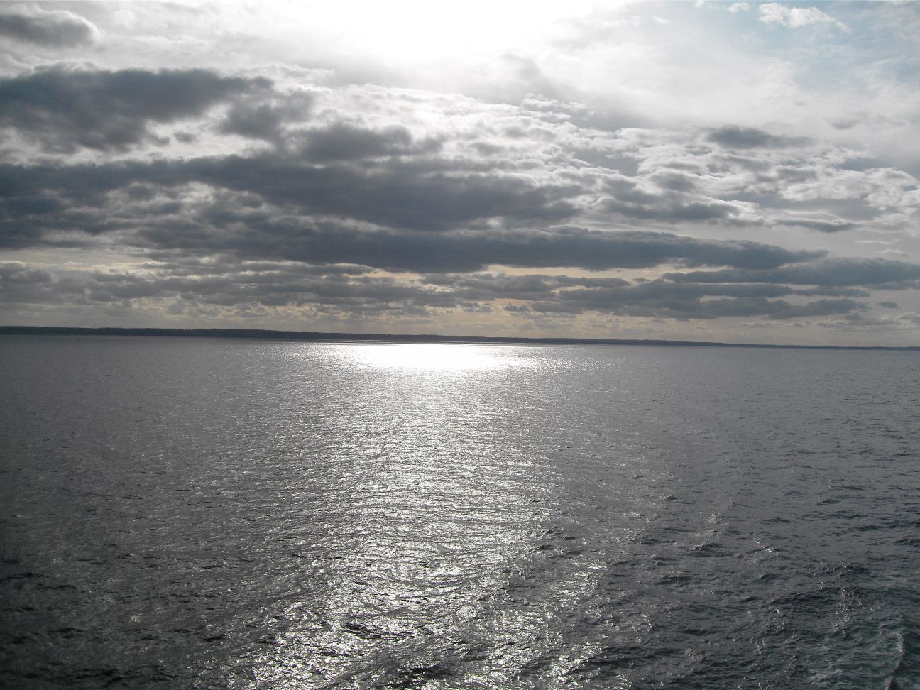 SDC12275_small.jpg