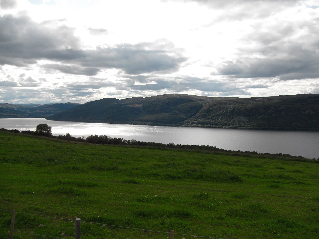 SDC11236.JPG