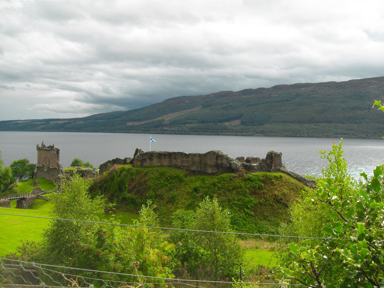 SDC11358.JPG