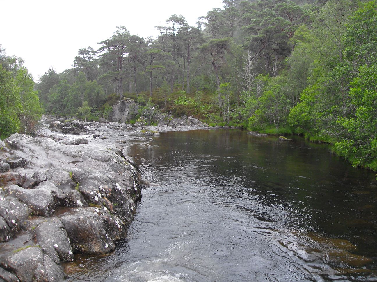 SDC11362.JPG