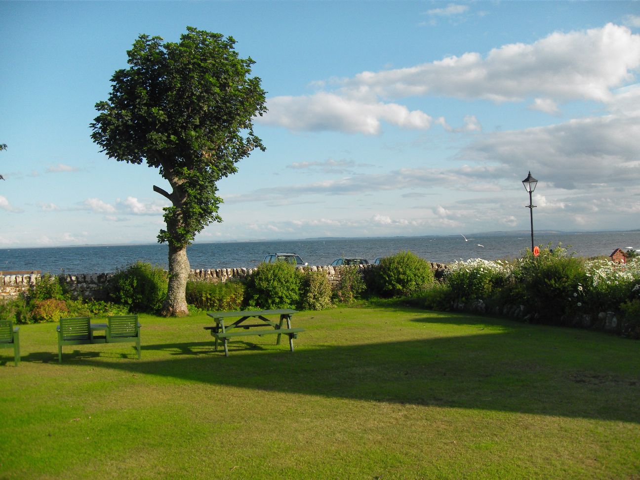 SDC11418.JPG