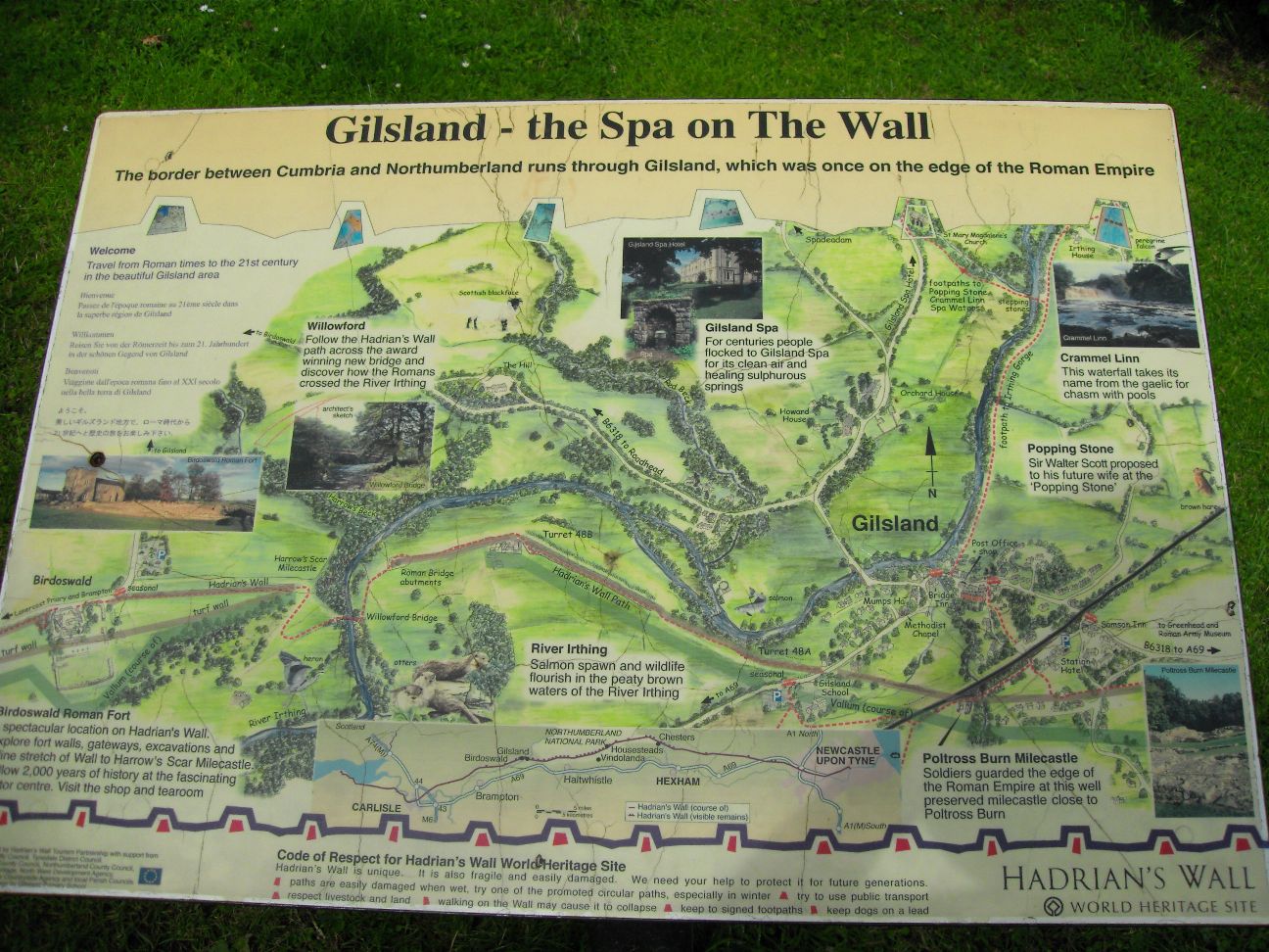 SDC12225_small.jpg