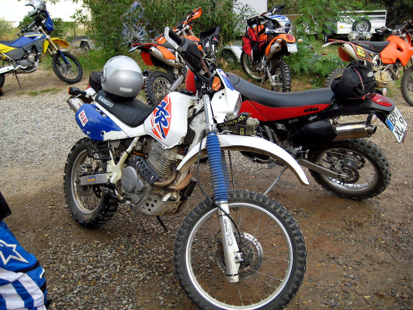 img_3804_fc.jpg