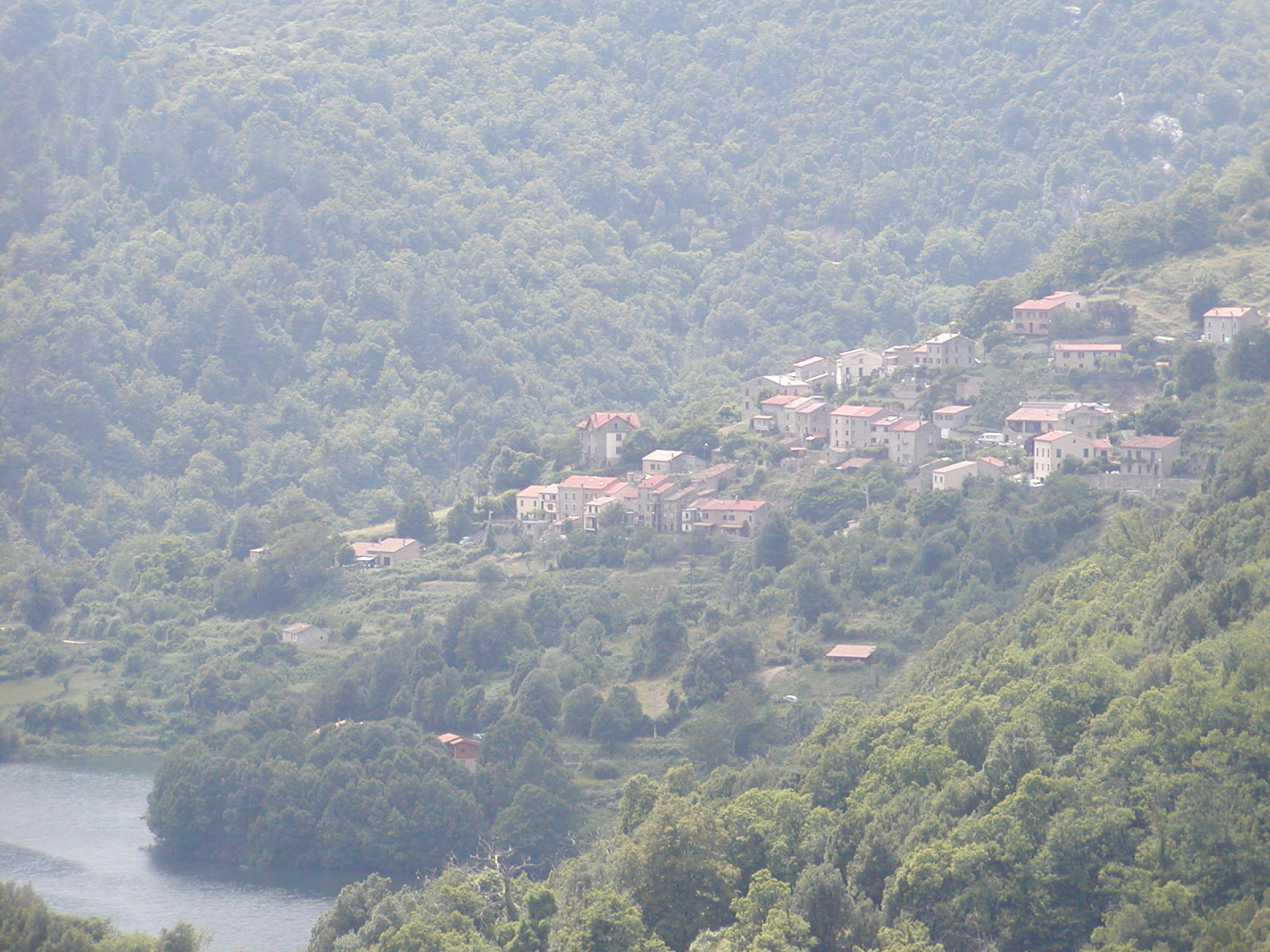 201006241526P6240060.JPG