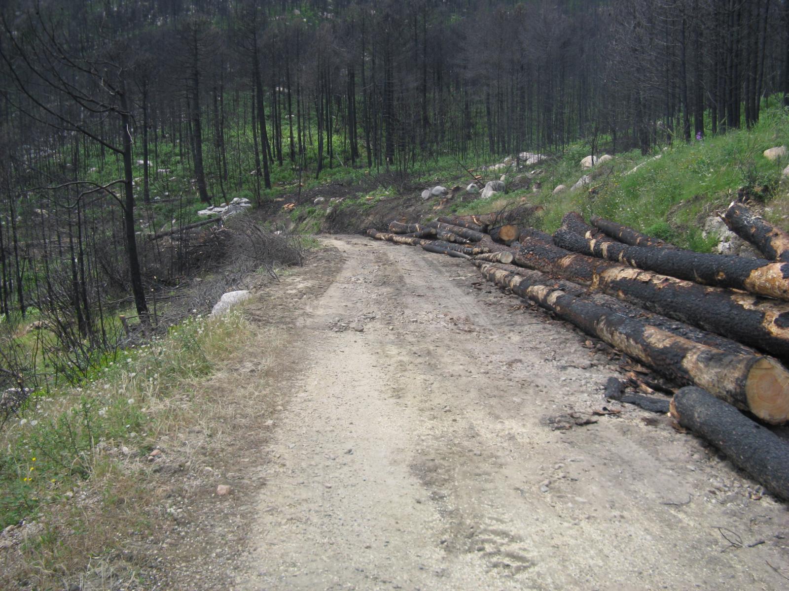 201006251341IMG_2563.JPG