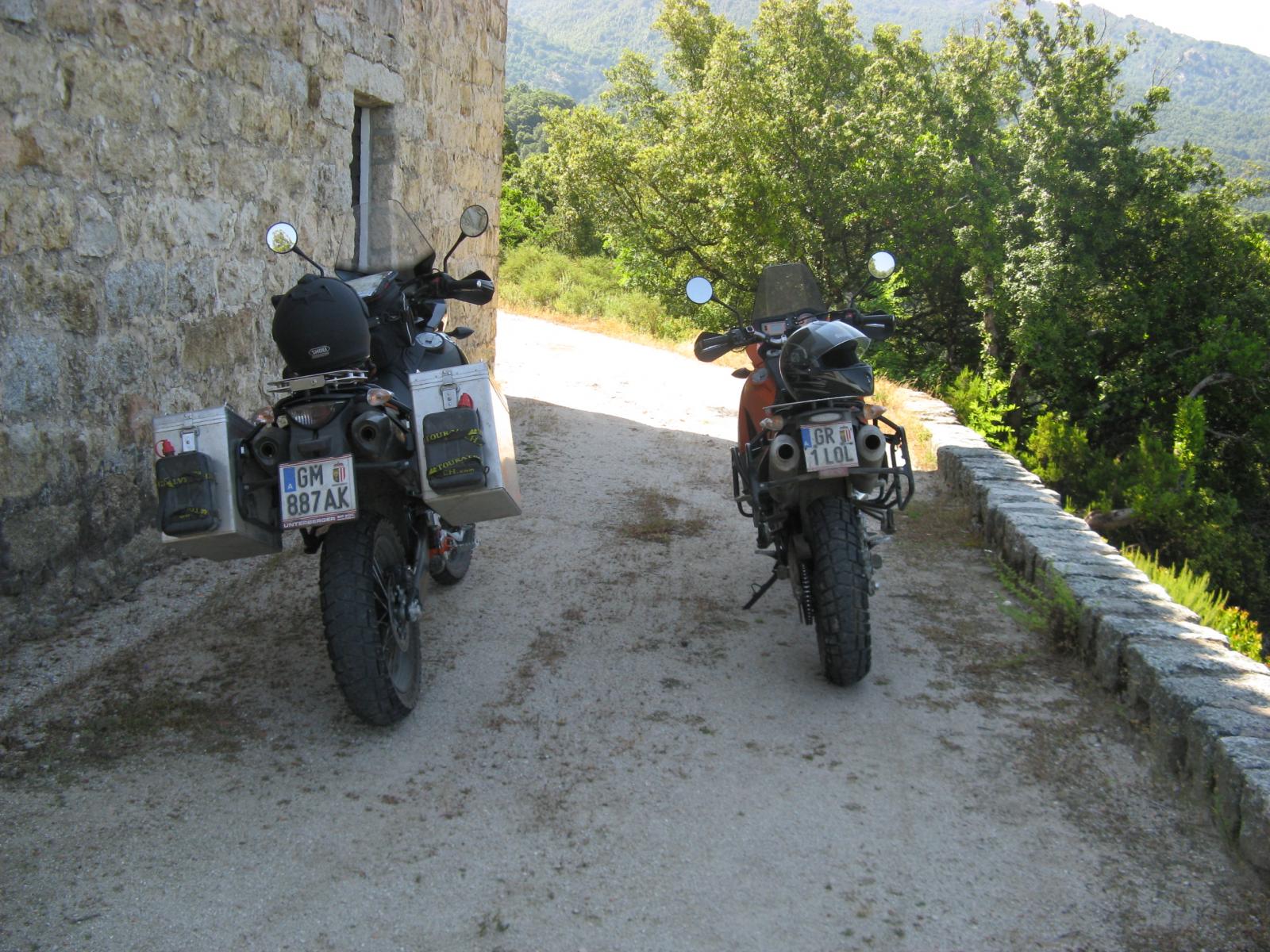201006260944IMG_2566.JPG