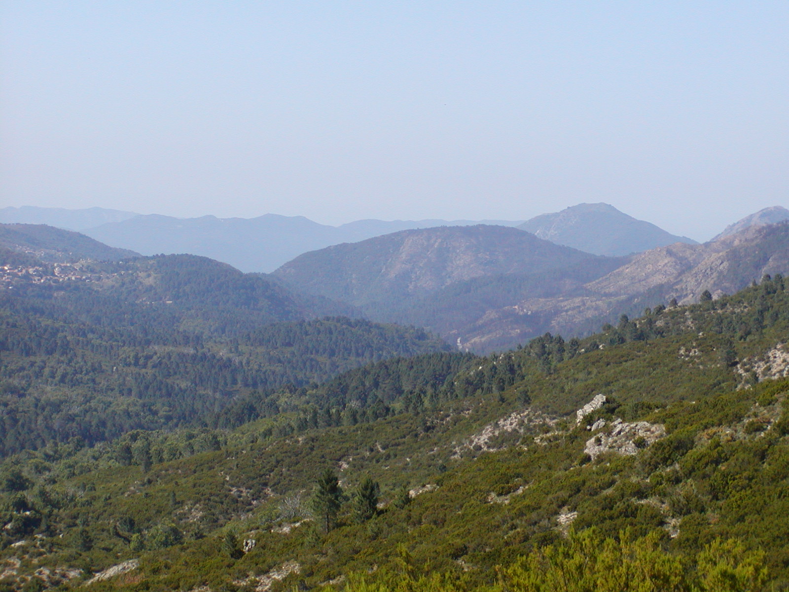 201006261003P6260069.JPG
