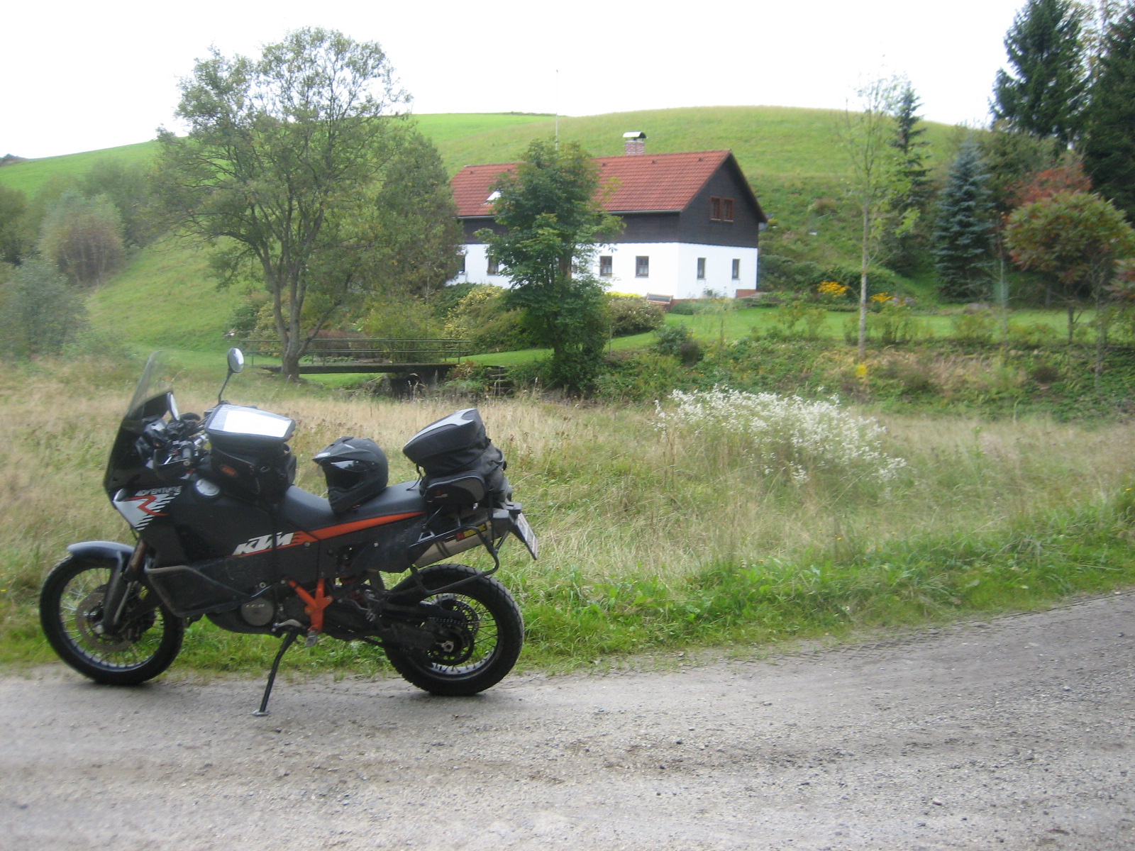 IMG_1331.jpg