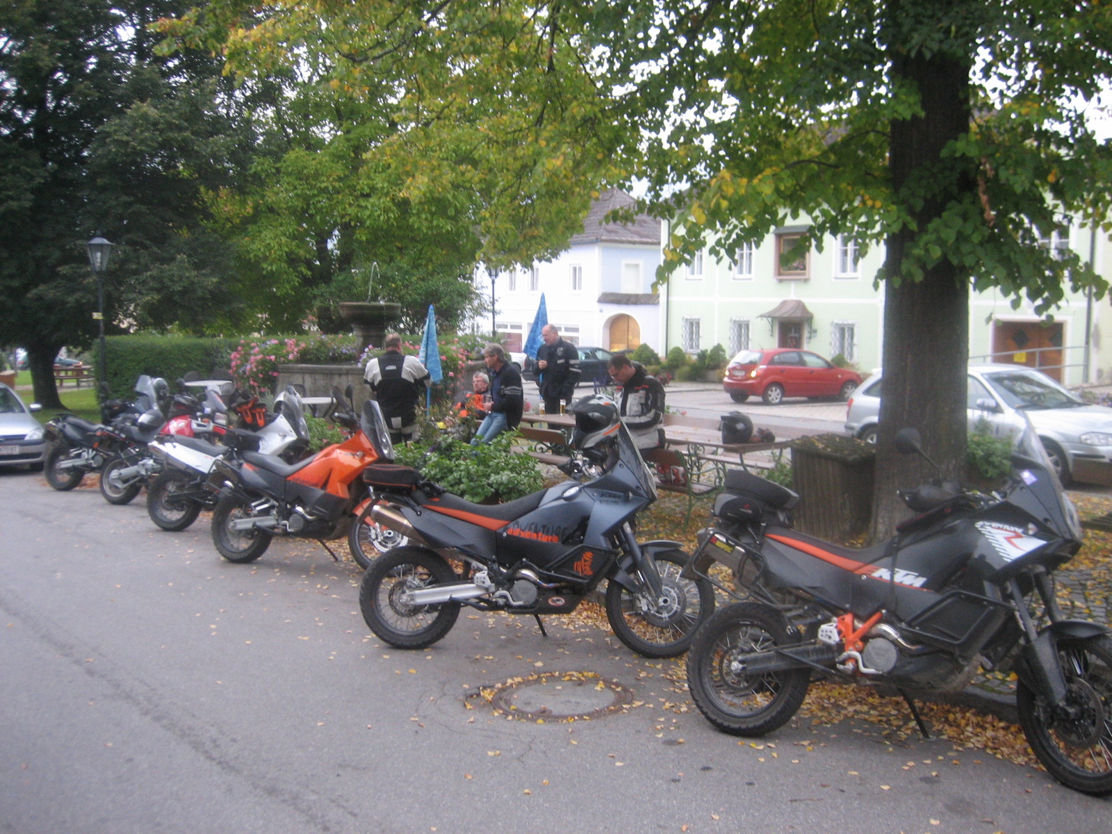 IMG_1345.jpg