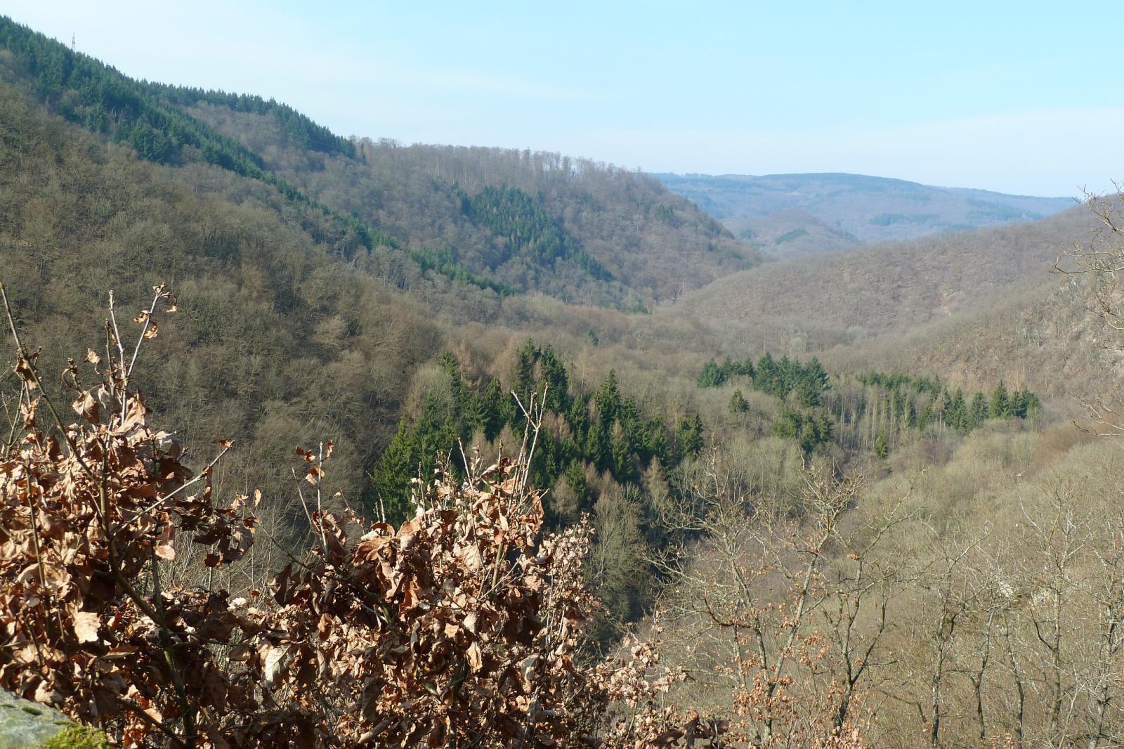 Hindernis mit Pause - 004