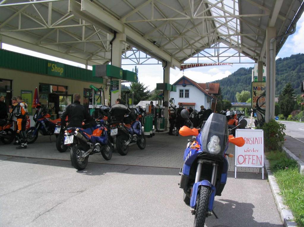 4.LC8.info_zwiebelfisch_012.JPG