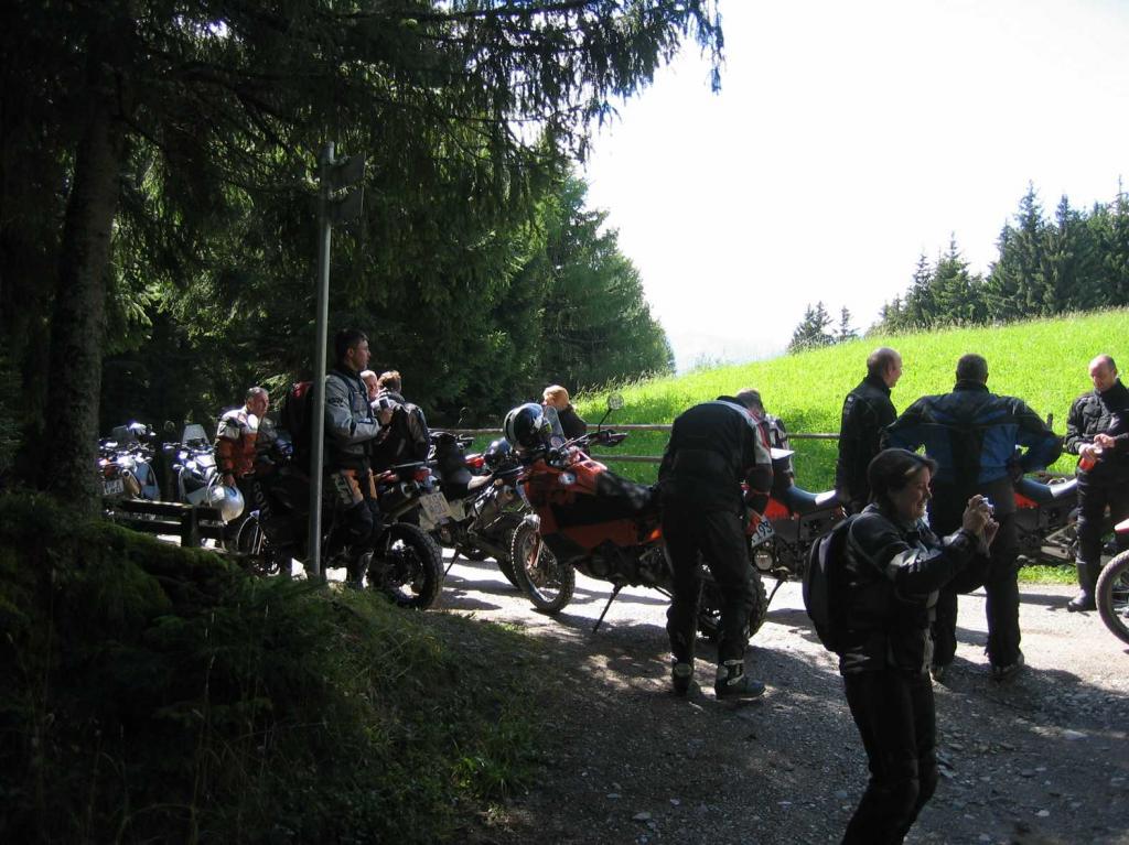 4.LC8.info_zwiebelfisch_031.JPG