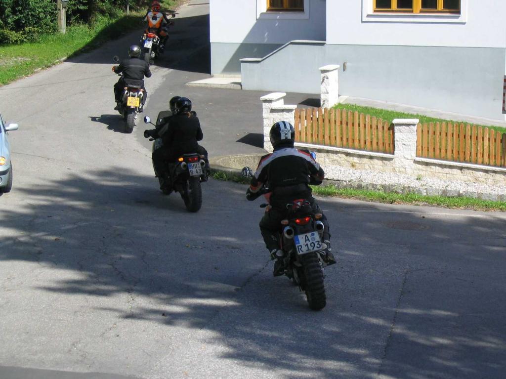4.LC8.info_zwiebelfisch_051.JPG