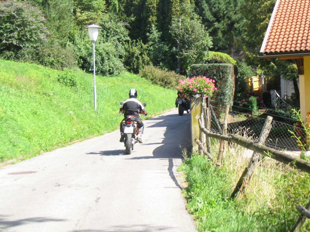 4.LC8.info_zwiebelfisch_052.JPG