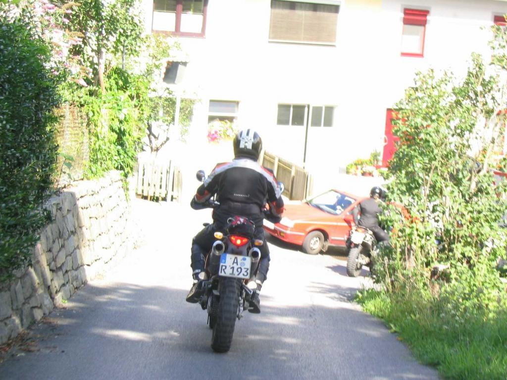 4.LC8.info_zwiebelfisch_059.JPG