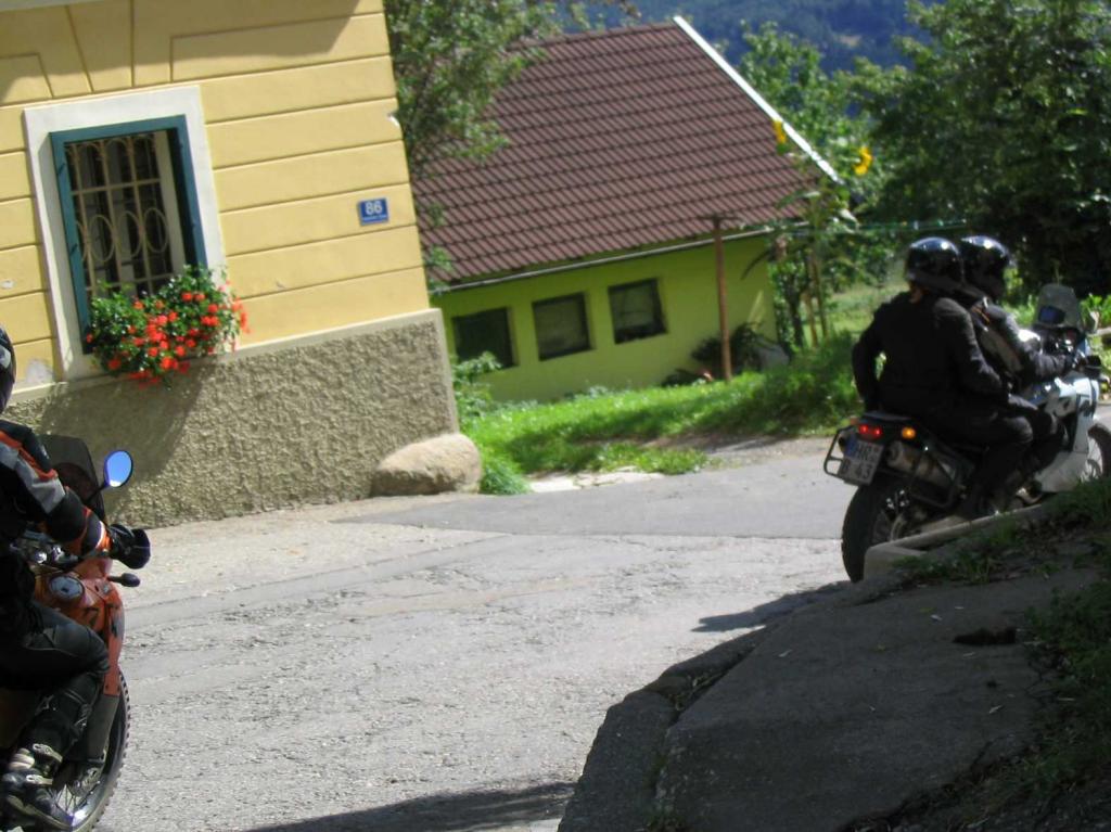 4.LC8.info_zwiebelfisch_060.JPG