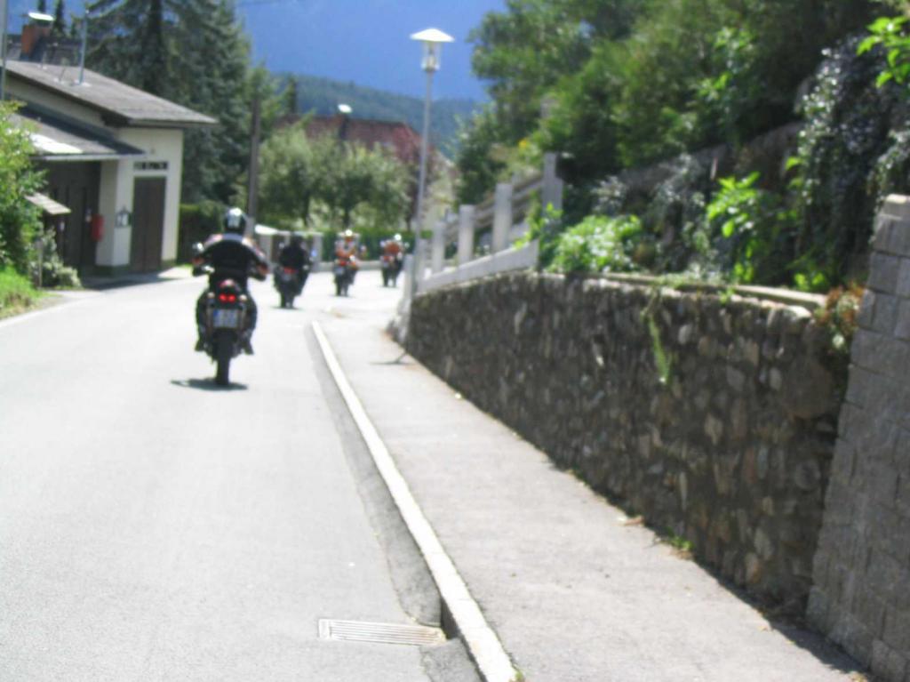 4.LC8.info_zwiebelfisch_061.JPG
