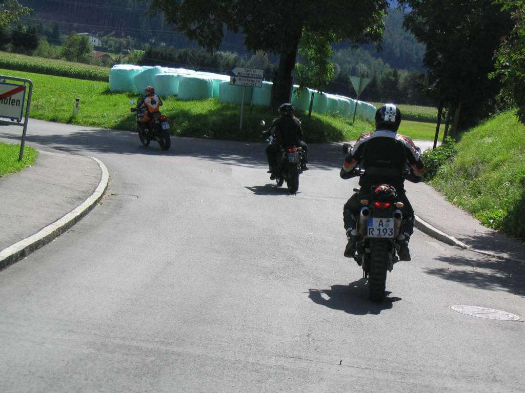 4.LC8.info_zwiebelfisch_064.JPG