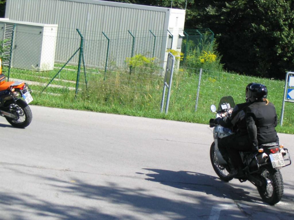 4.LC8.info_zwiebelfisch_067.JPG