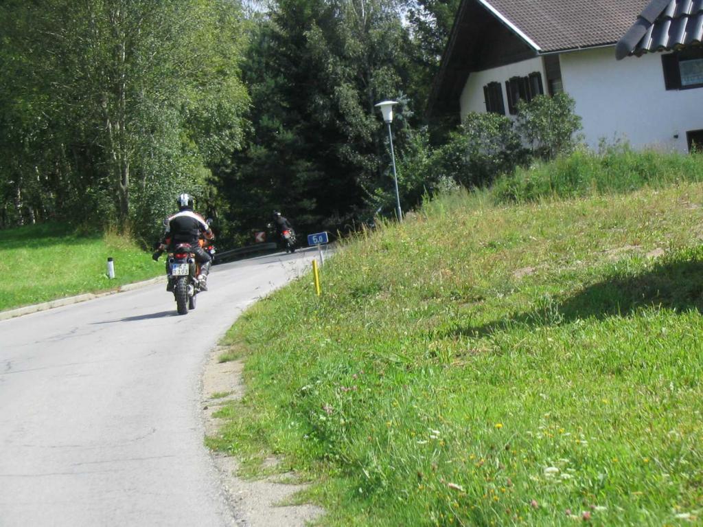 4.LC8.info_zwiebelfisch_068.JPG