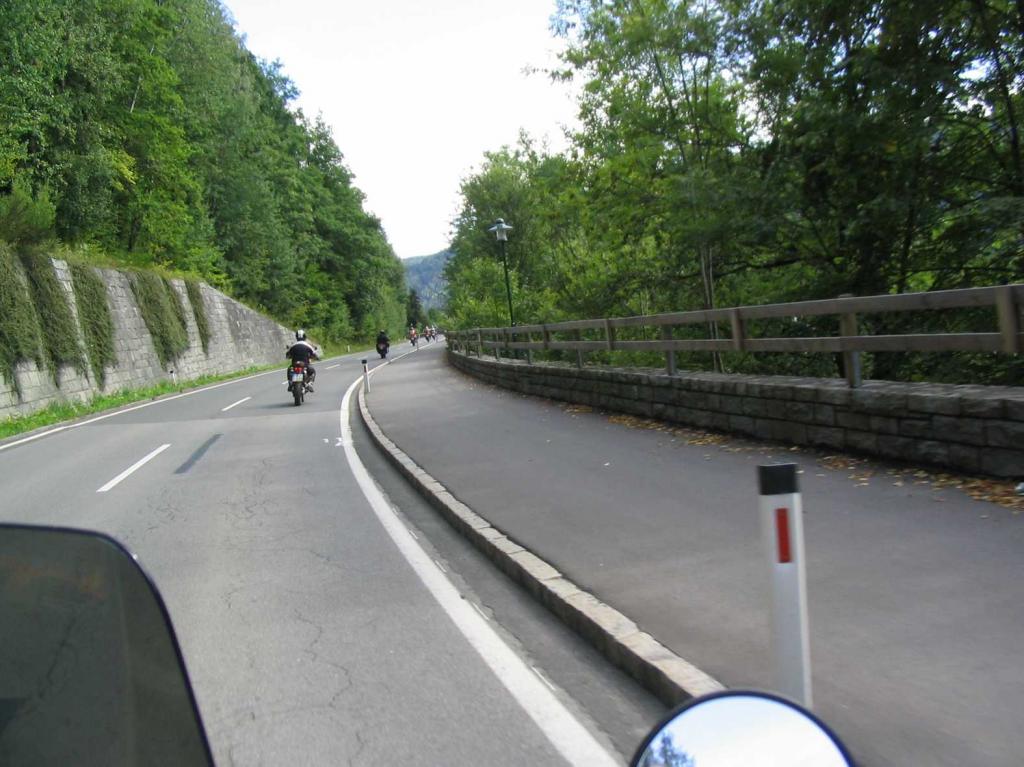 4.LC8.info_zwiebelfisch_074.JPG