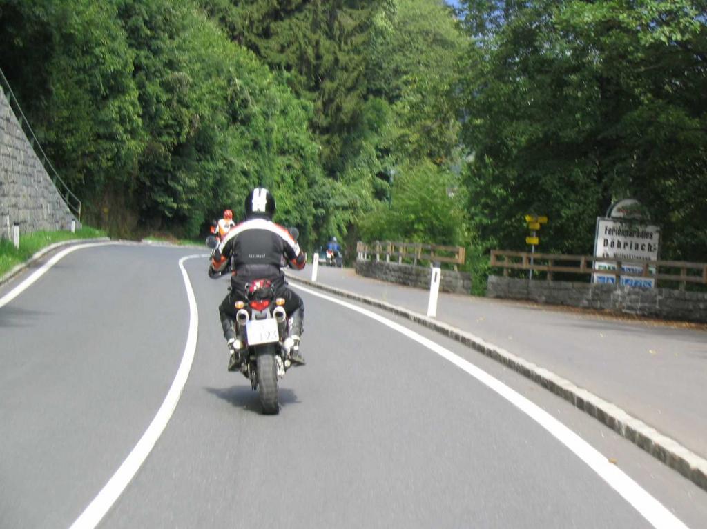4.LC8.info_zwiebelfisch_079.JPG