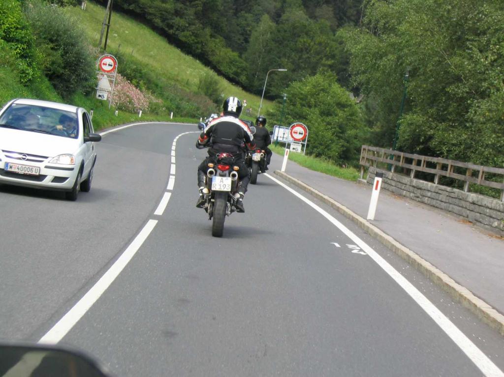 4.LC8.info_zwiebelfisch_081.JPG