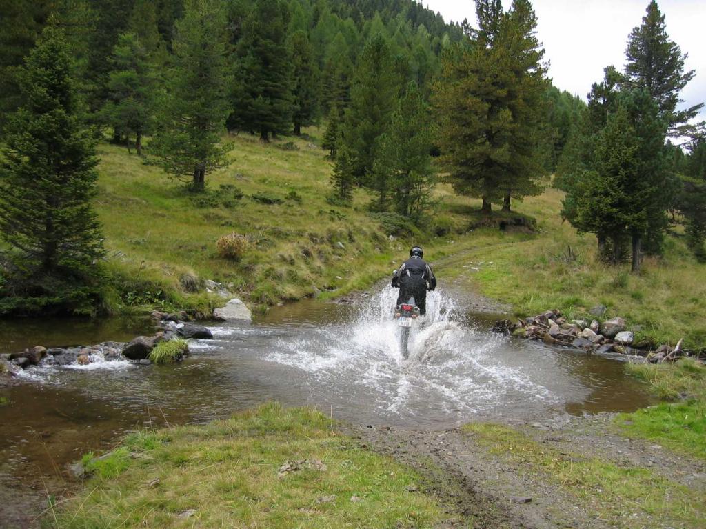 4.LC8.info_zwiebelfisch_120.JPG