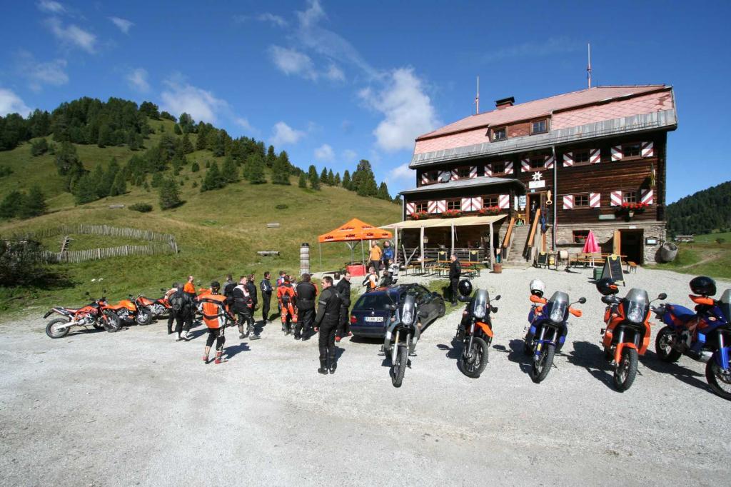 4.LC8.info_Brieftaube_005.JPG