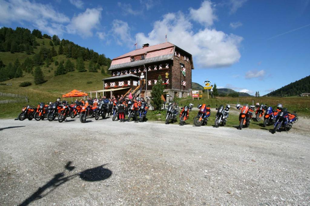 4.LC8.info_Brieftaube_018.JPG