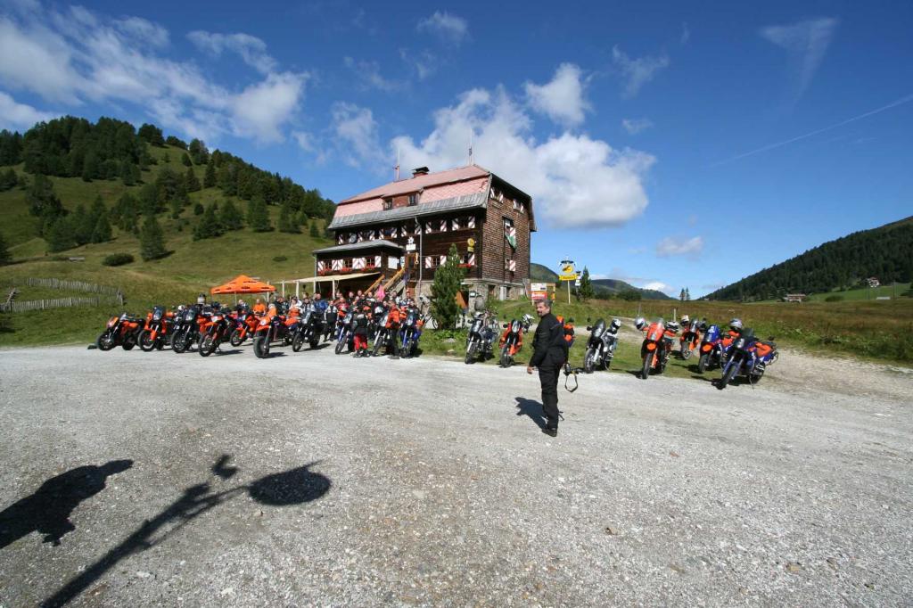 4.LC8.info_Brieftaube_019.JPG