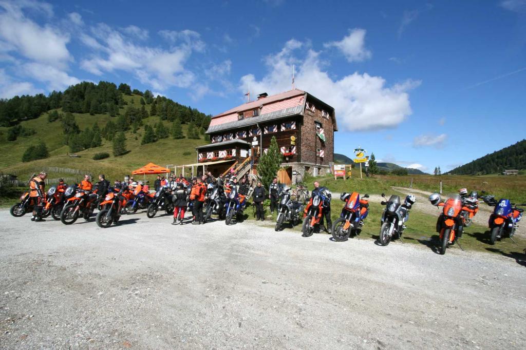 4.LC8.info_Brieftaube_021.JPG