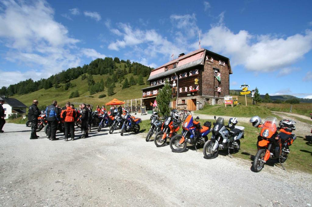 4.LC8.info_Brieftaube_024.JPG