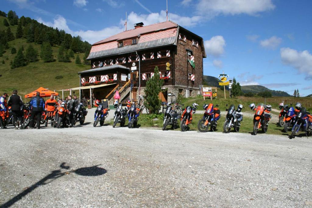 4.LC8.info_Brieftaube_034.JPG