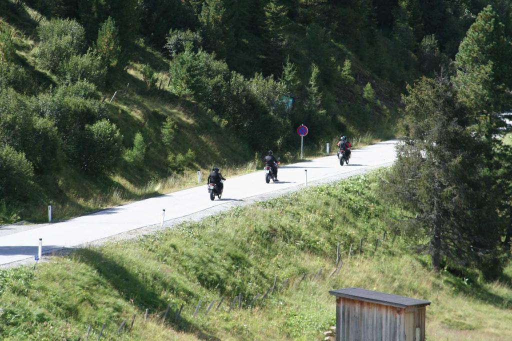 4.LC8.info_Brieftaube_063.JPG