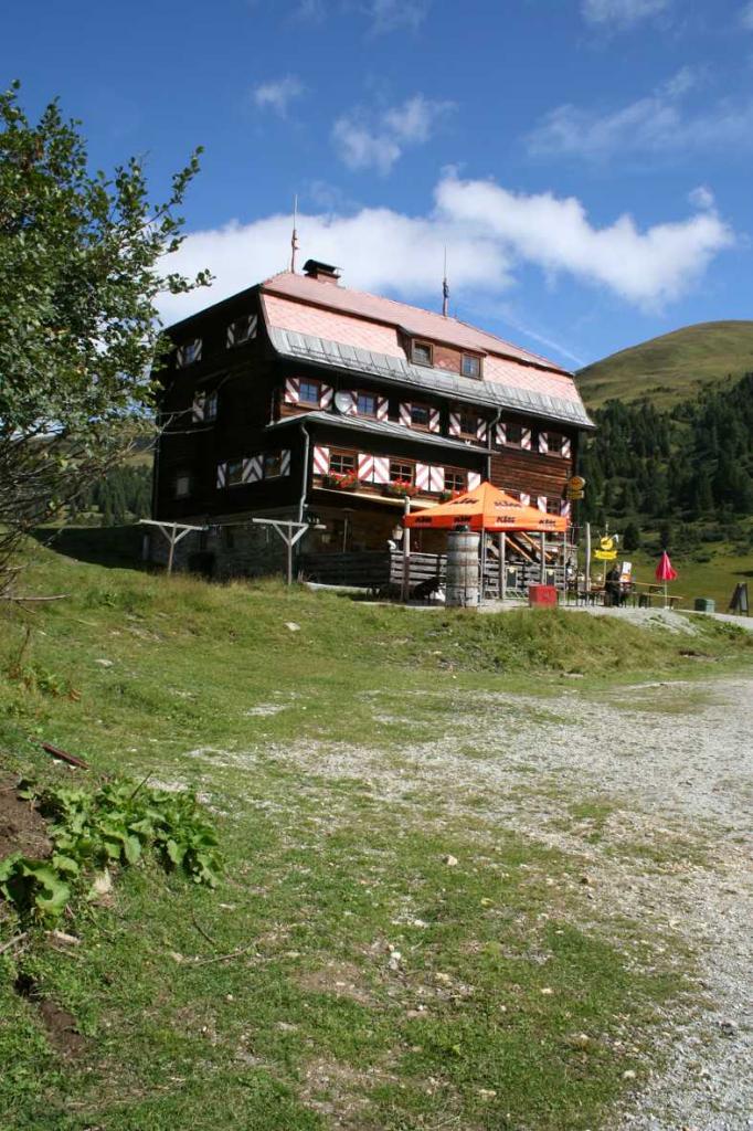 4.LC8.info_Brieftaube_050.JPG