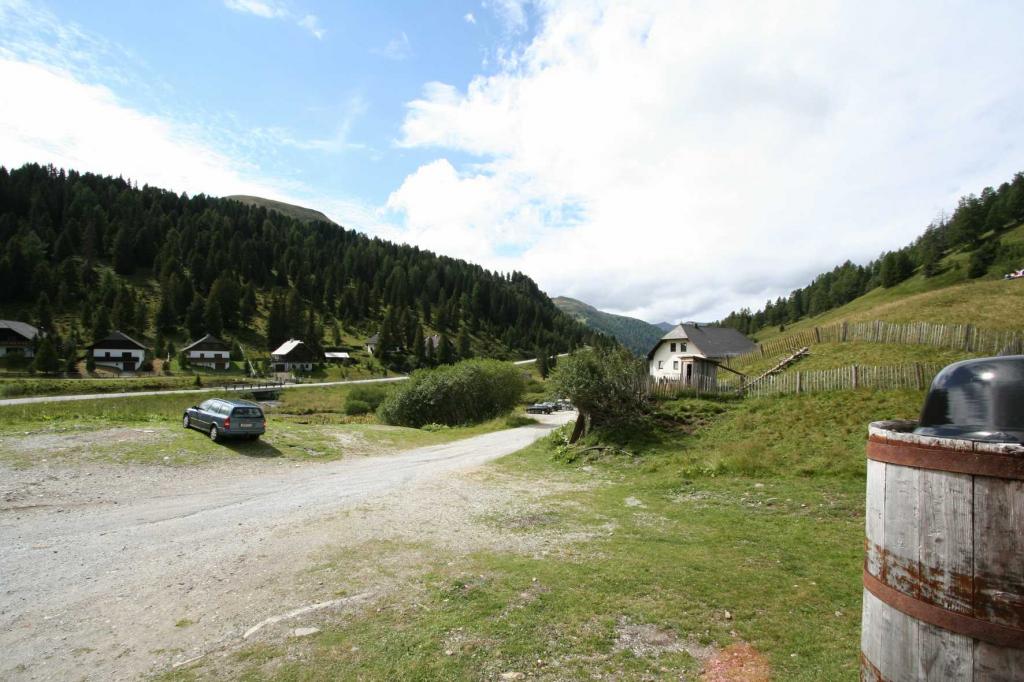 4.LC8.info_Brieftaube_120.JPG