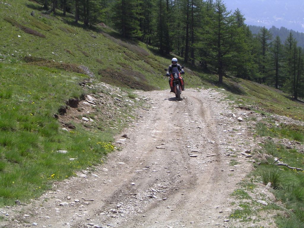 20060619-120406-IS.JPG