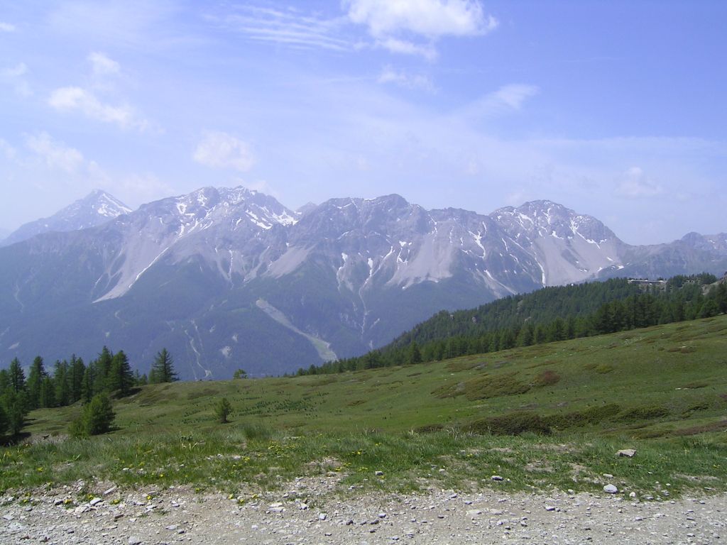 20060619-120456-IS.JPG