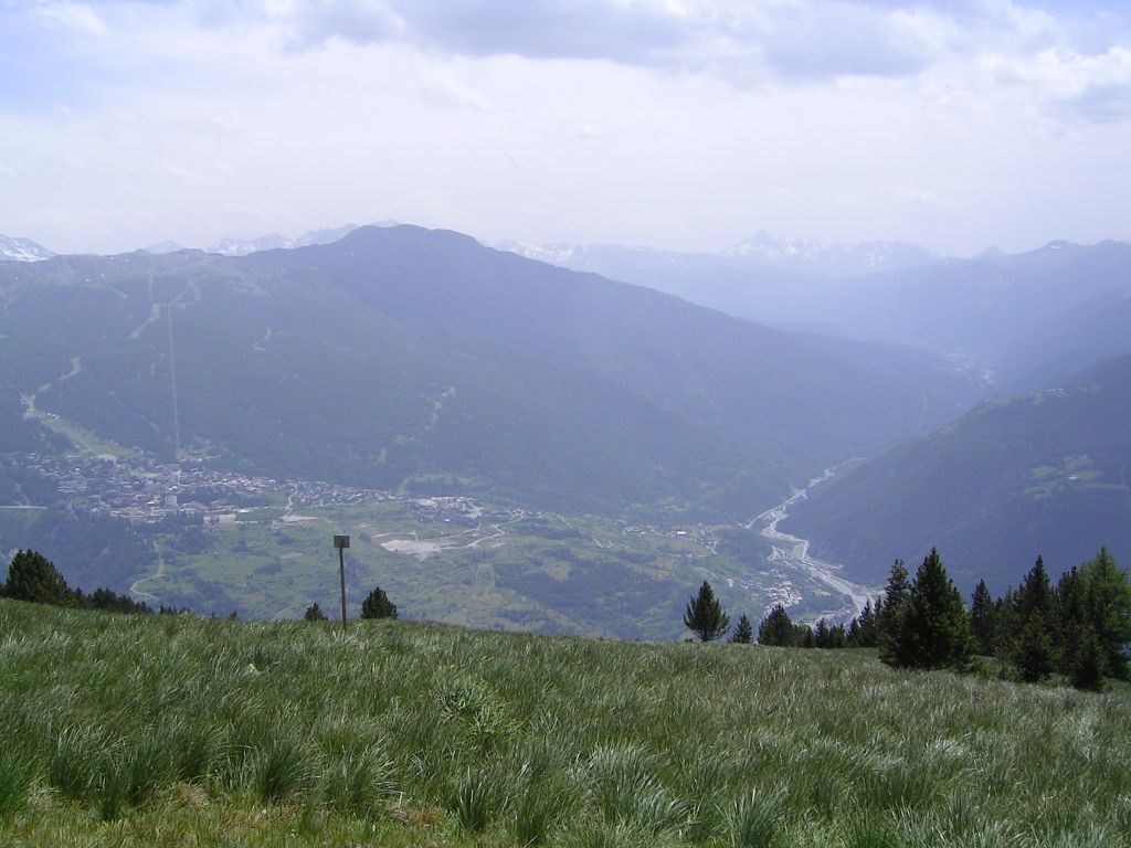 20060619-142630-IS.JPG