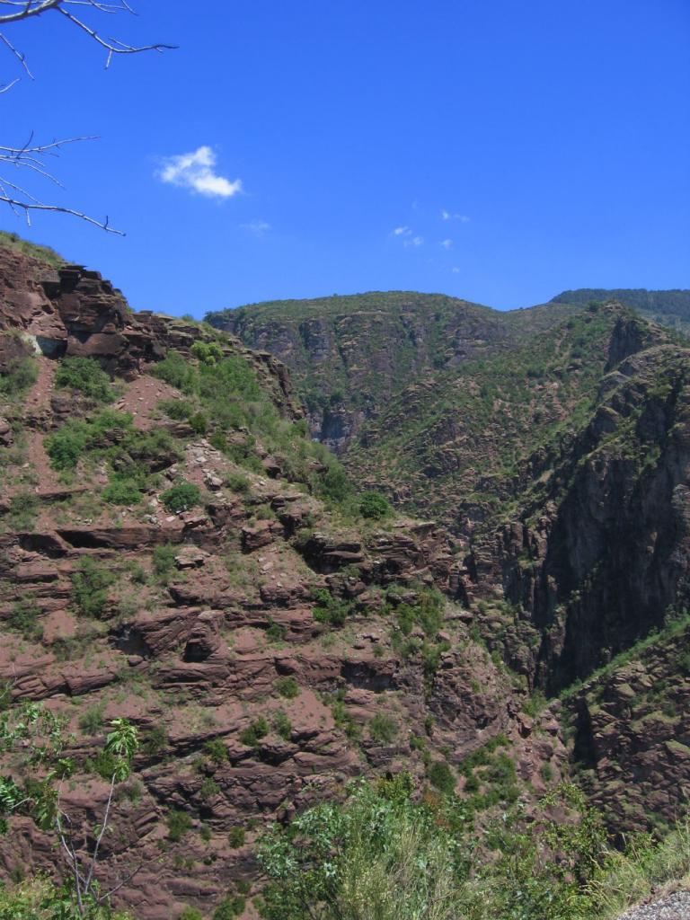 20060623-141600-PF.JPG