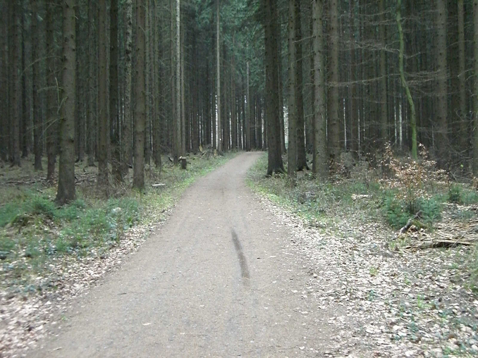 CIMG1745.jpg