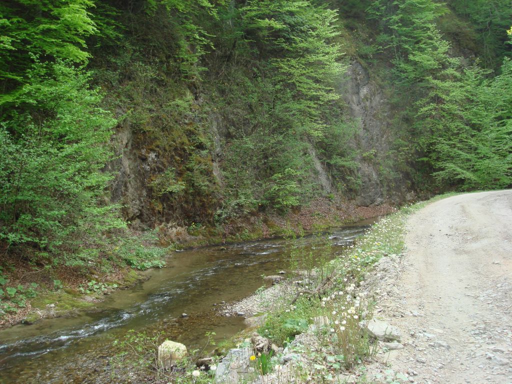 20070429-160712-MF.JPG