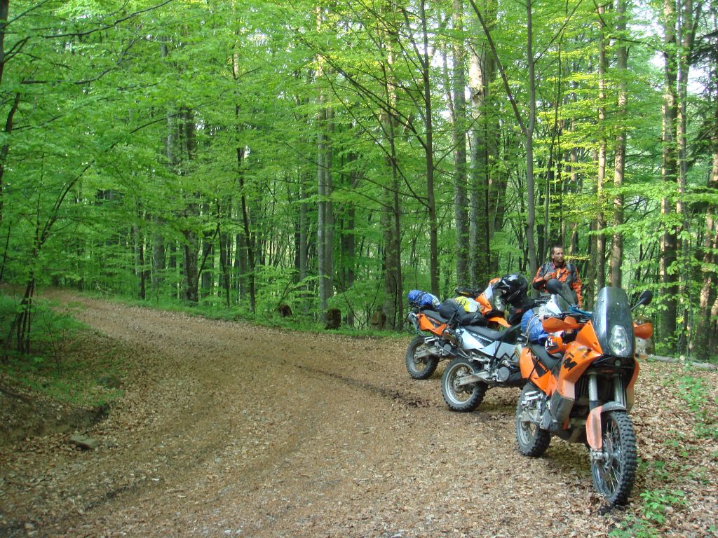 20070429-163306-MF.JPG