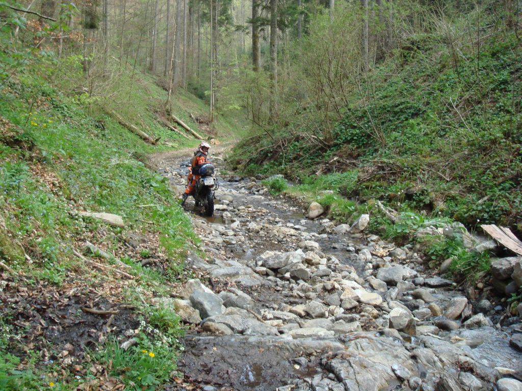 20070429-173004-MF.JPG