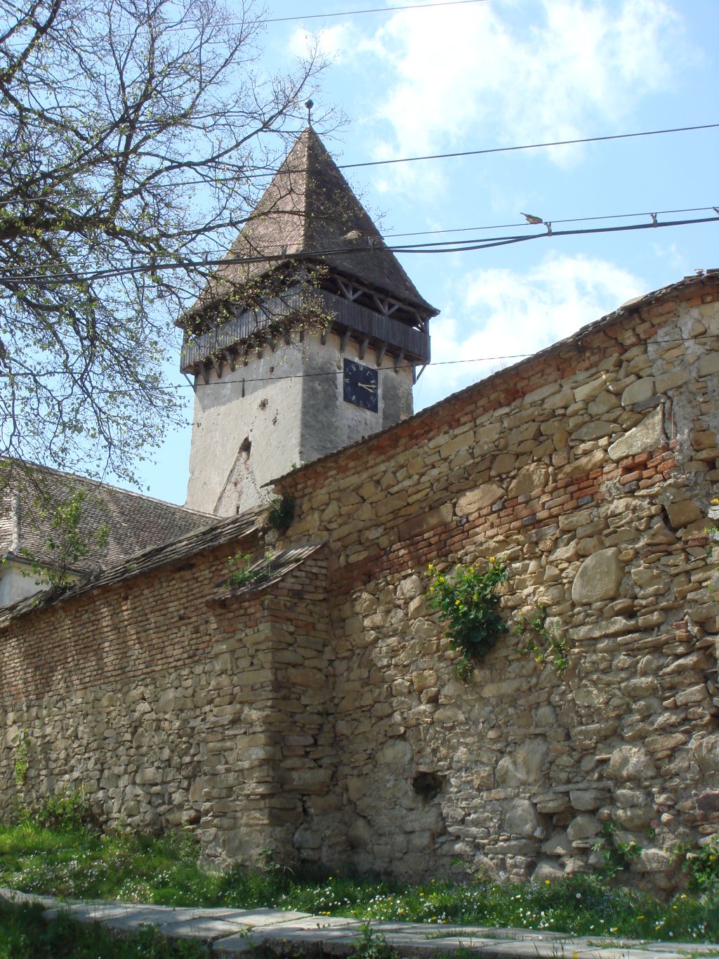 20070502-113620-MF.JPG