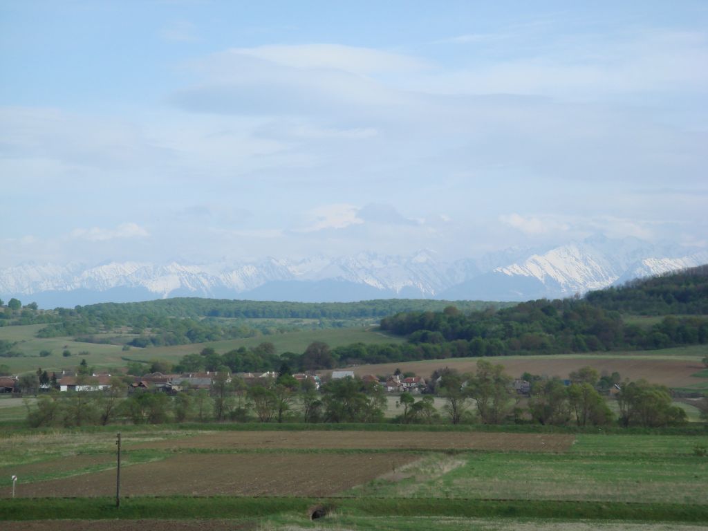 20070503-170714-MF.JPG