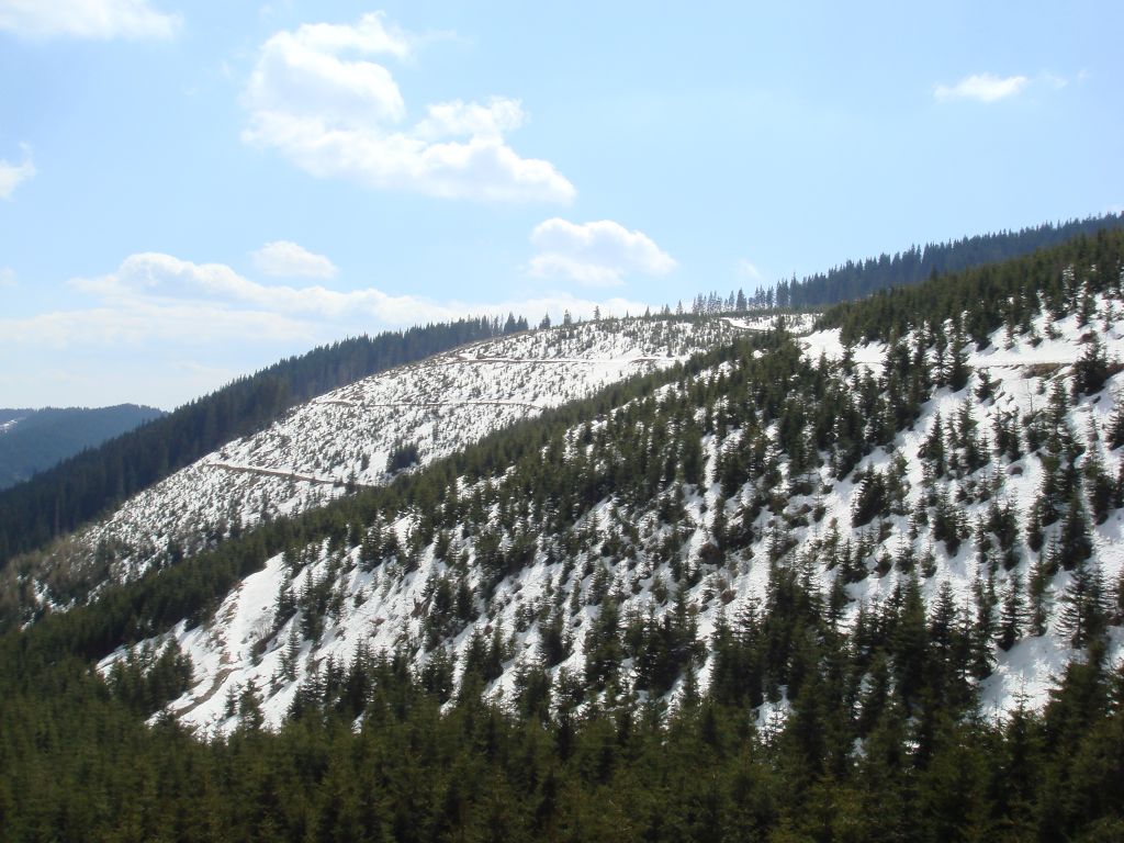 20070501-102512-MF.JPG
