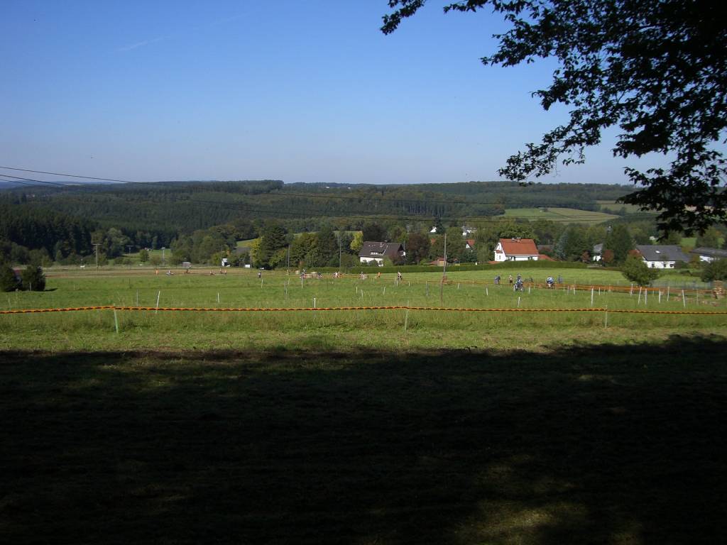 CIMG3880_small.jpg