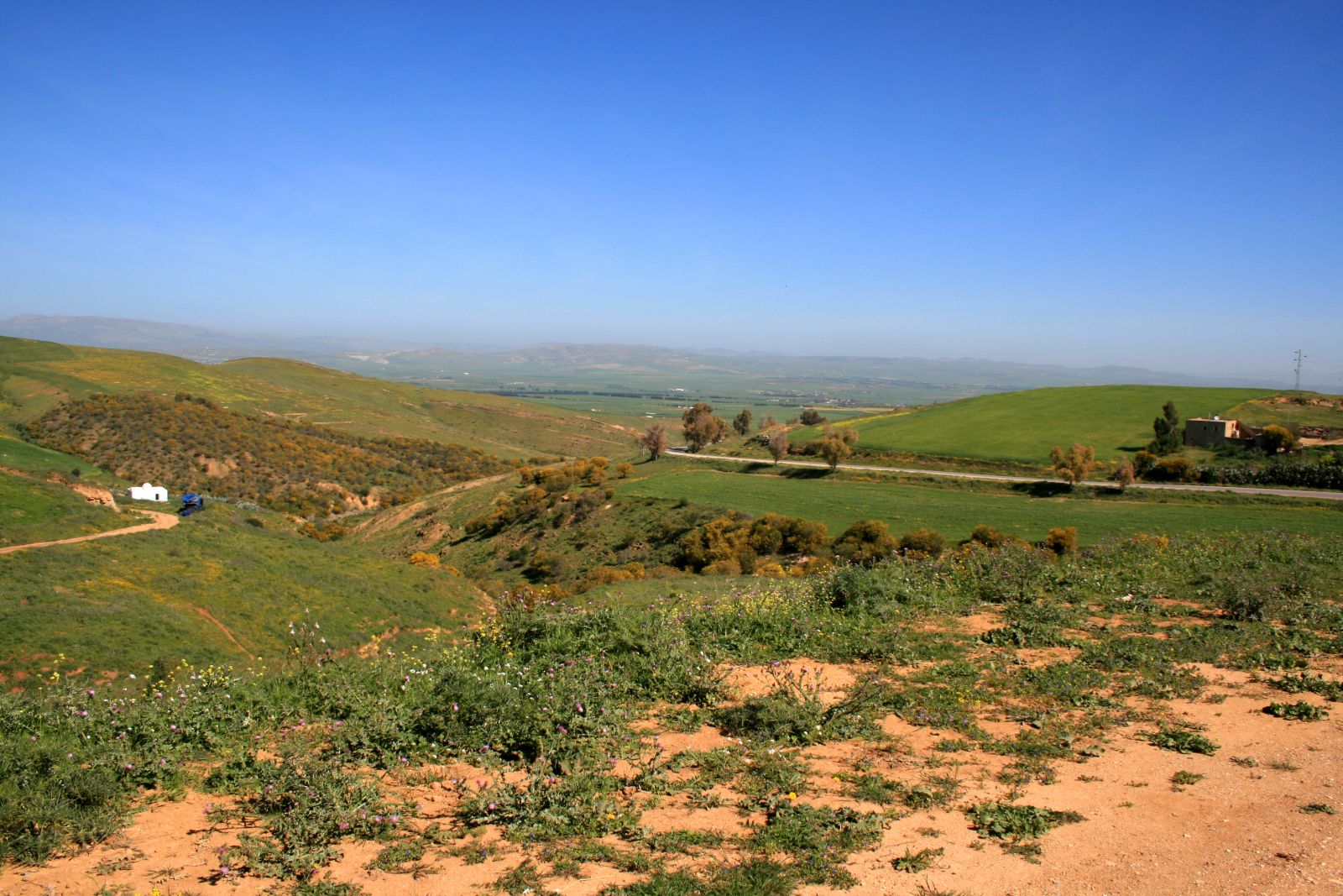 09-01.jpg
